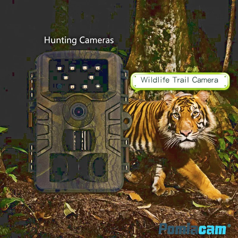 MINI PR700 Wildlife Trail Camera Infrared Night Vision 1080P 12MP Outdoor Wild Surveillance Tracking outdoors camera for hunting 
MINI PR700 Wildlife Trail Camera Infrared Night Vision 1080P 12MP Outdoor Wild Surveillance Tracking outdoors camera for hunting