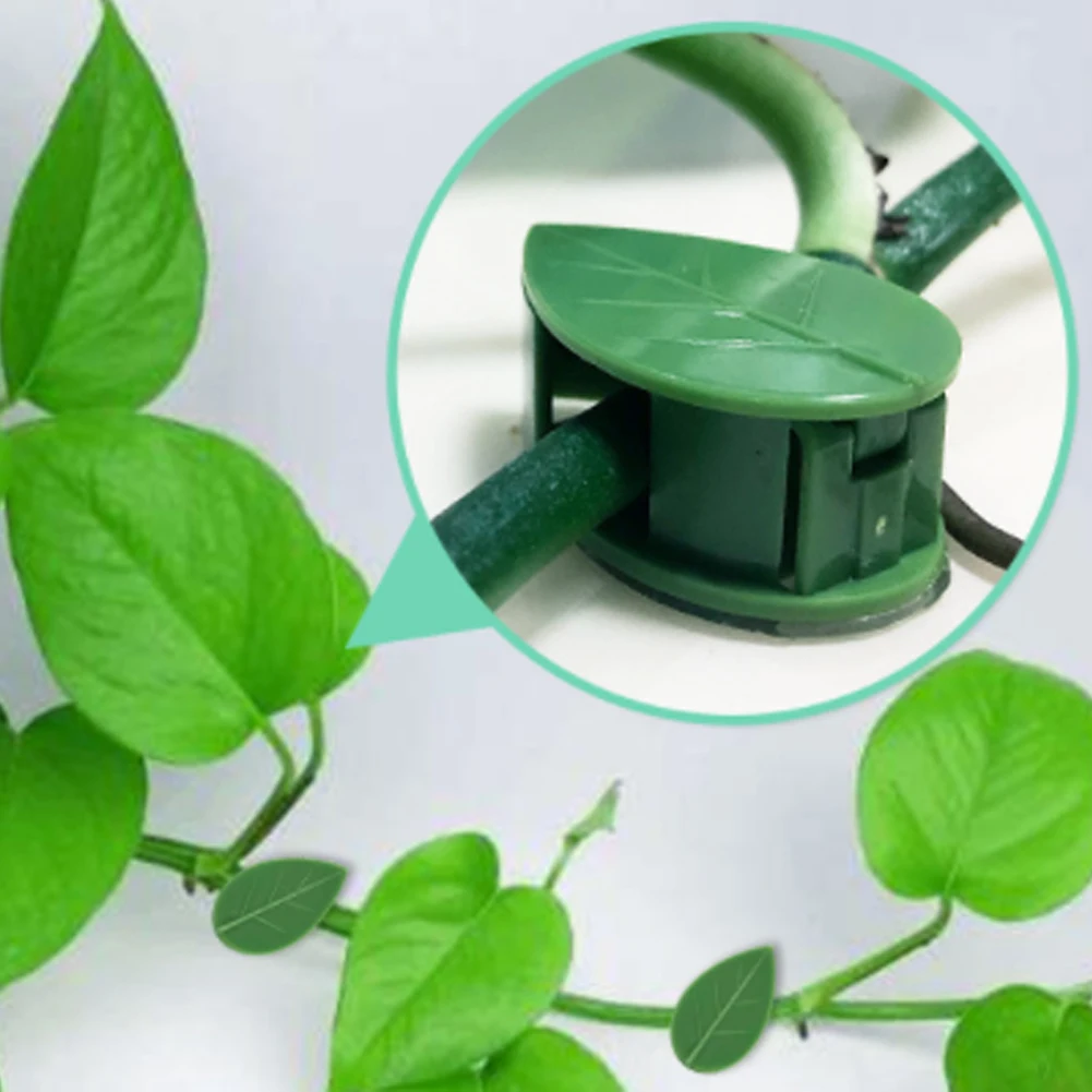 50Pcs Self-Adhesive Fixed Buckle Leaf Shape Clip Plant Climbing Wall Fixture Rattan Vine Traction Holder Plant Wire Organizer
50Pcs Self-Adhesive Fixed Buckle Leaf Shape Clip Plant Climbing Wall Fixture Rattan Vine Traction Holder Plant Wire Organizer