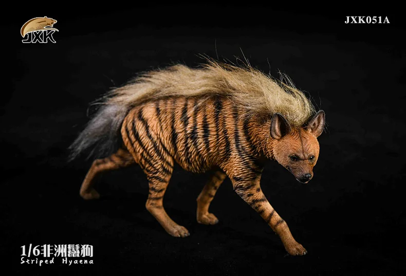 New Arrival JXK 1/6 Scale JXK051A/B African Hyena Striped Hyena Animal Model Decoration In Stock
New Arrival JXK 1/6 Scale JXK051A/B African Hyena Striped Hyena Animal Model Decoration In Stock