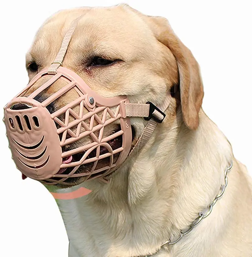 Adjusting Pet Dog Muzzle Safety Breathable Mouth Mask Puppy Big Dog for Small Medium Large Dogs Pet Supplies Accessories
Adjusting Pet Dog Muzzle Safety Breathable Mouth Mask Puppy Big Dog for Small Medium Large Dogs Pet Supplies Accessories