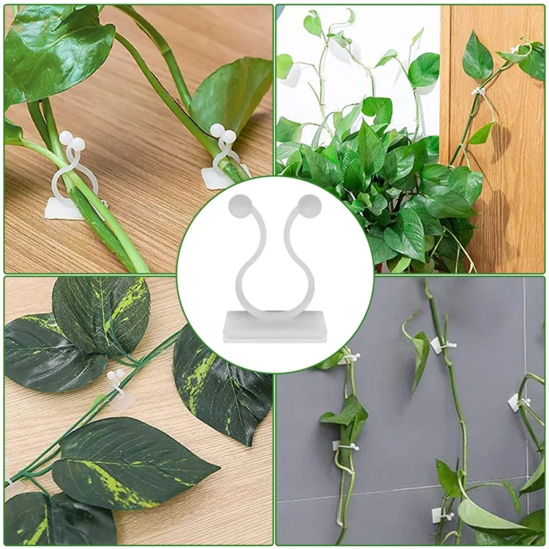 50PCS Invisible Wall Vines Fixing Plant Climbing Fixer Self-Adhesive Wall Sticky Hook Plant Holder Binding Clip Vines Holder