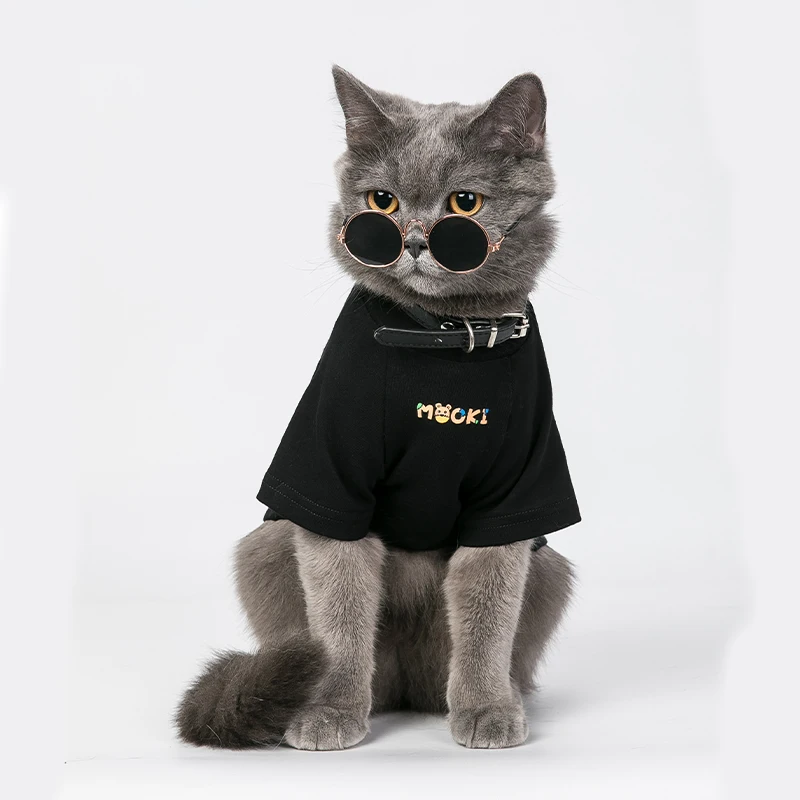 Clothing For Cats Suit Dog Clothes Spink Sphynx Plus Size Habit Chart 2021 Chihuahua T-shirt York Hairless Soft Sweatshirt Cat
Clothing For Cats Suit Dog Clothes Spink Sphynx Plus Size Habit Chart 2021 Chihuahua T-shirt York Hairless Soft Sweatshirt Cat
