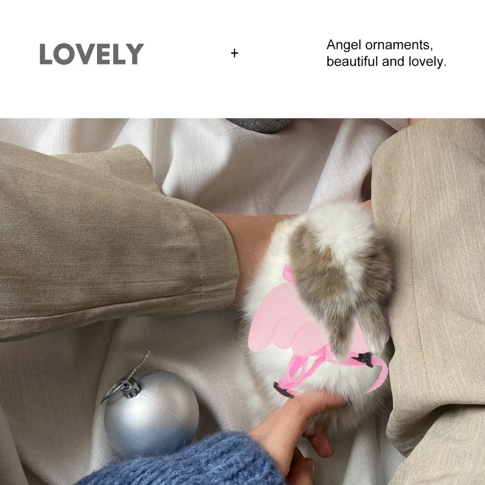 2 Sets Rabbit Traction Strap Walk Rabbit Rope Pet Bunny Chain Traction Belt
2 Sets Rabbit Traction Strap Walk Rabbit Rope Pet Bunny Chain Traction Belt