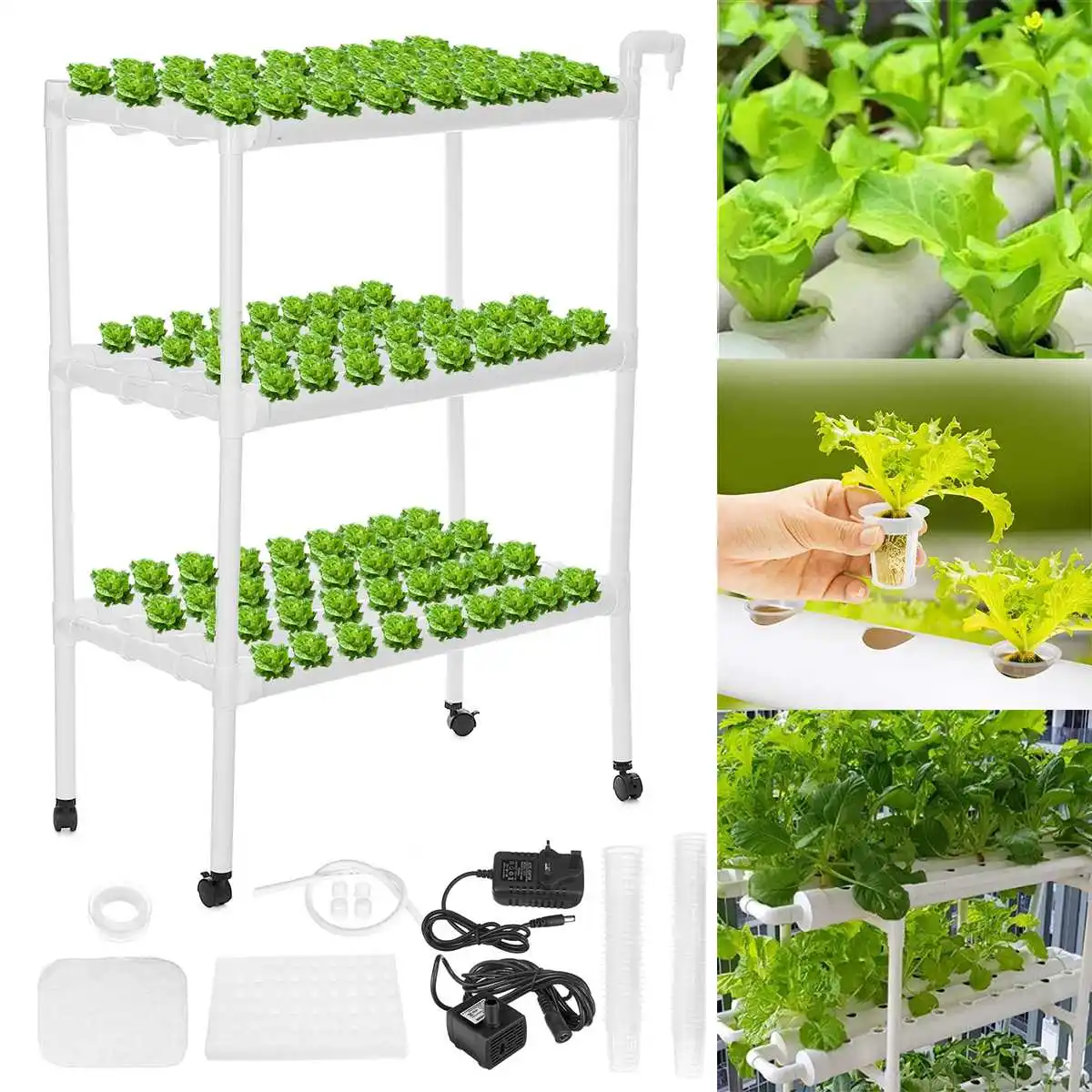108 Holes Hydroponic Piping Site Grow Kit Deep Water Culture Planting Box Gardening System Nursery Pot Hydroponic Rack 220V
108 Holes Hydroponic Piping Site Grow Kit Deep Water Culture Planting Box Gardening System Nursery Pot Hydroponic Rack 220V