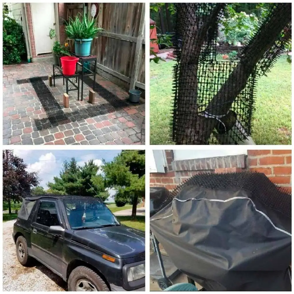 Plastic Prickly Anti Cat Pets Mat Plant Flower Vegetable Garden Protector Cushion Anti-cats Network Digging Prickle Strip
Plastic Prickly Anti Cat Pets Mat Plant Flower Vegetable Garden Protector Cushion Anti-cats Network Digging Prickle Strip
