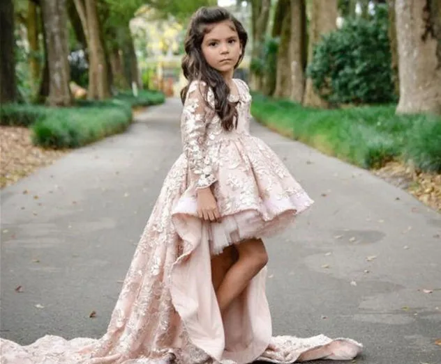 High Low Pink Lace Long Flower Girls Dresses for Wedding 2021 Full Sleeve Sweet Pageant Dress Formal Kids Wear for Toddlers
High Low Pink Lace Long Flower Girls Dresses for Wedding 2021 Full Sleeve Sweet Pageant Dress Formal Kids Wear for Toddlers