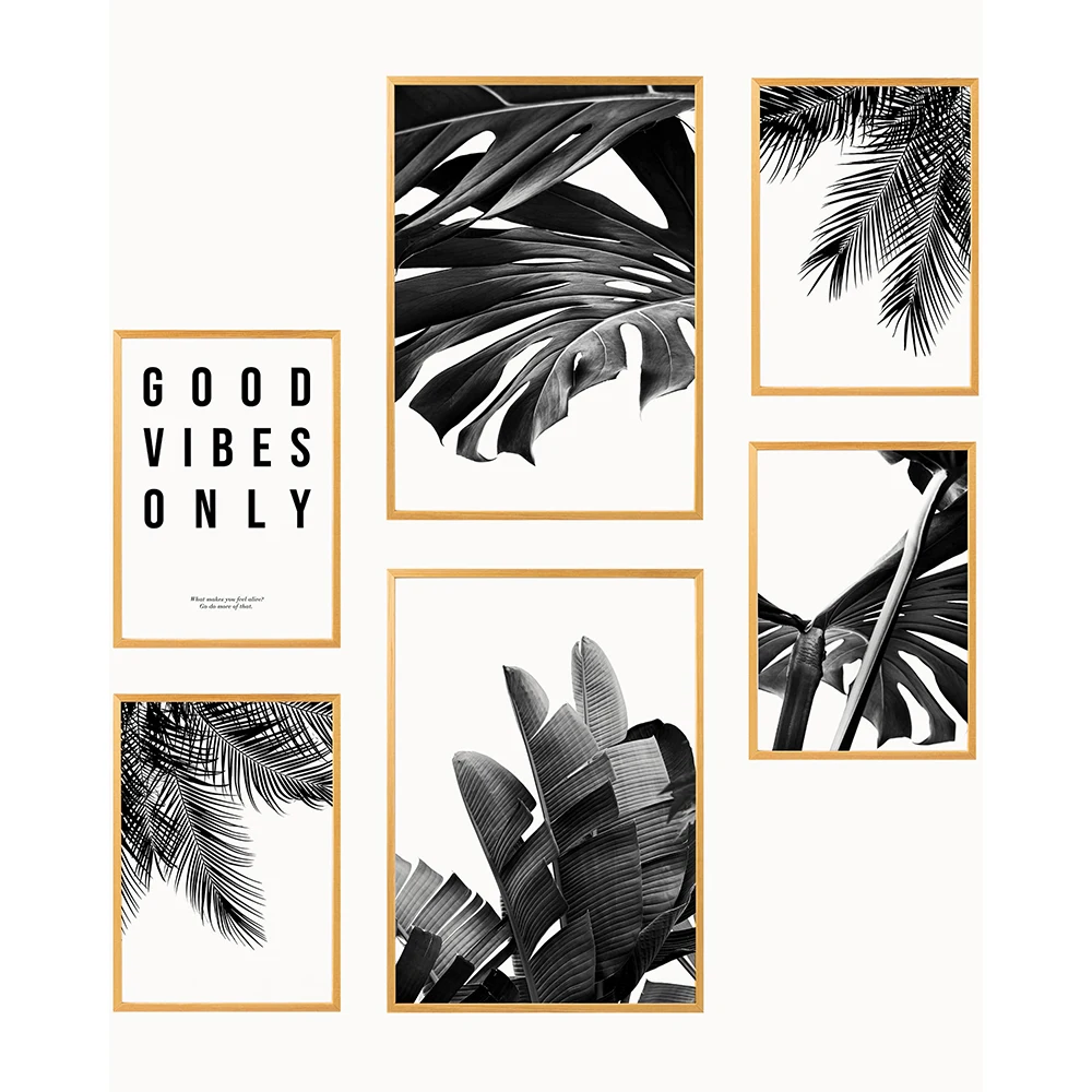 Black White Style Tropical Plants Poster Palm Leaves Decorative Picture Modern Wall Art Paintings for Living Room Home Decor
Black White Style Tropical Plants Poster Palm Leaves Decorative Picture Modern Wall Art Paintings for Living Room Home Decor