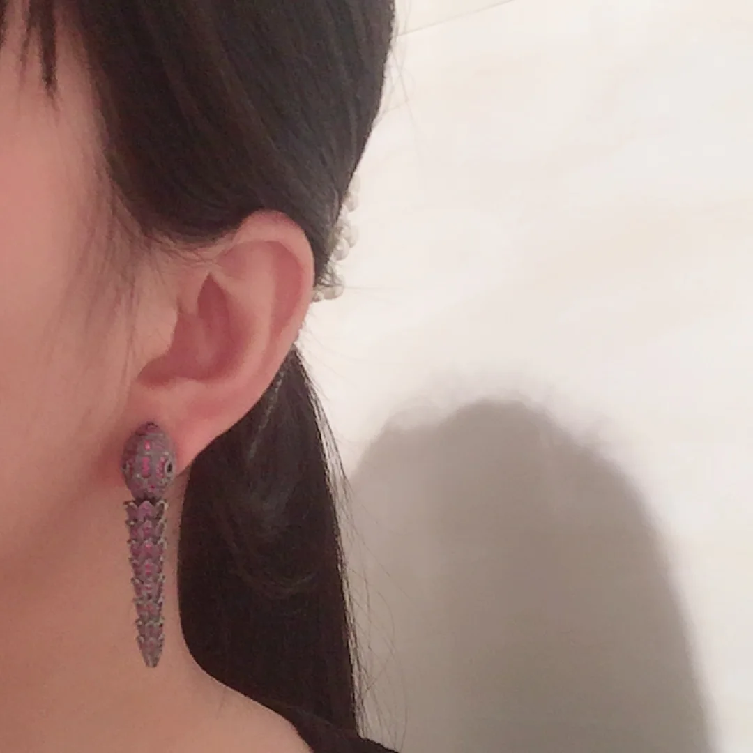Snake tassel earrings S925 silver needle luxury micro-inlaid ins online celebrity retro high-grade cold wind animal earrings
Snake tassel earrings S925 silver needle luxury micro-inlaid ins online celebrity retro high-grade cold wind animal earrings