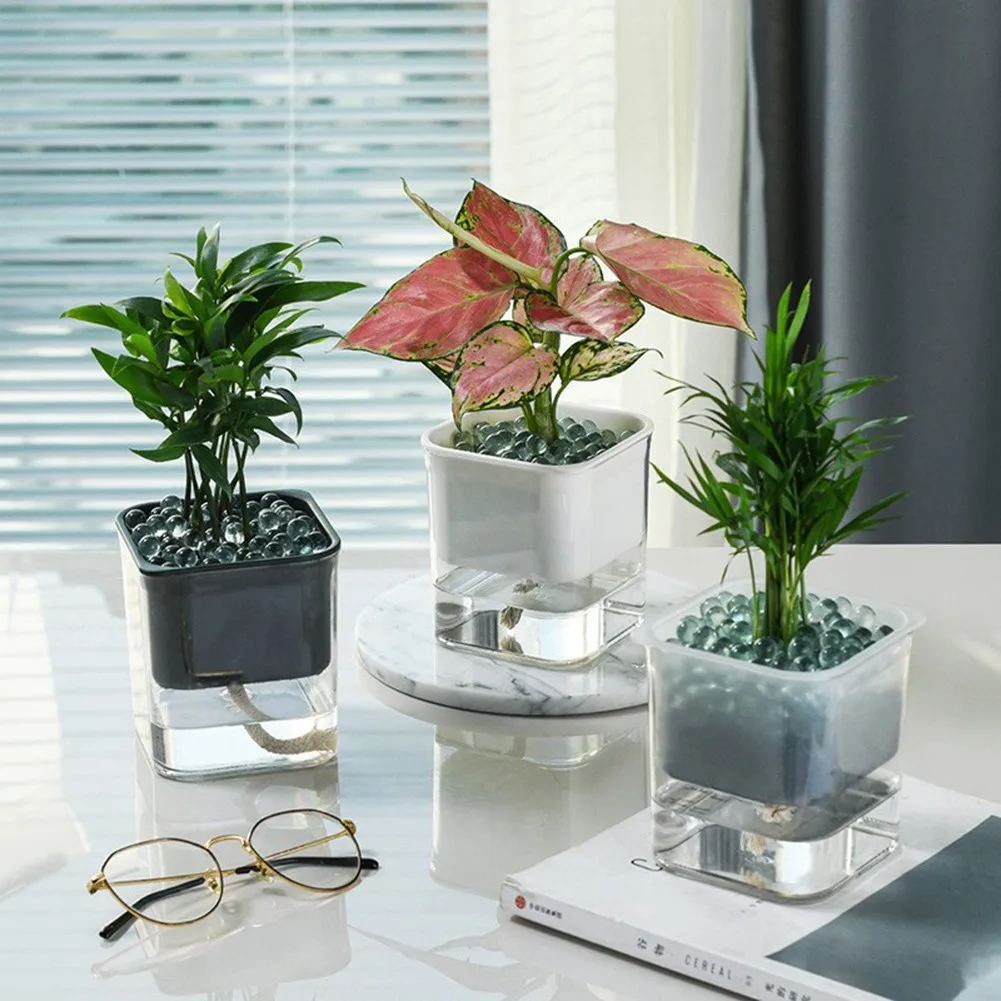 Lazy Automatic Water Absorbing Flower Pot Plastic Flower Cultivation Pot Household Transparent Visible Hydroponic Flower Pot
Lazy Automatic Water Absorbing Flower Pot Plastic Flower Cultivation Pot Household Transparent Visible Hydroponic Flower Pot