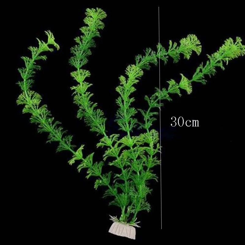 Underwater Green Artificial Plastic Plant Grass Fish Tank Aquarium Ornament Decoration 30cm Fish Tank Grass Flower Ornament 
Underwater Green Artificial Plastic Plant Grass Fish Tank Aquarium Ornament Decoration 30cm Fish Tank Grass Flower Ornament