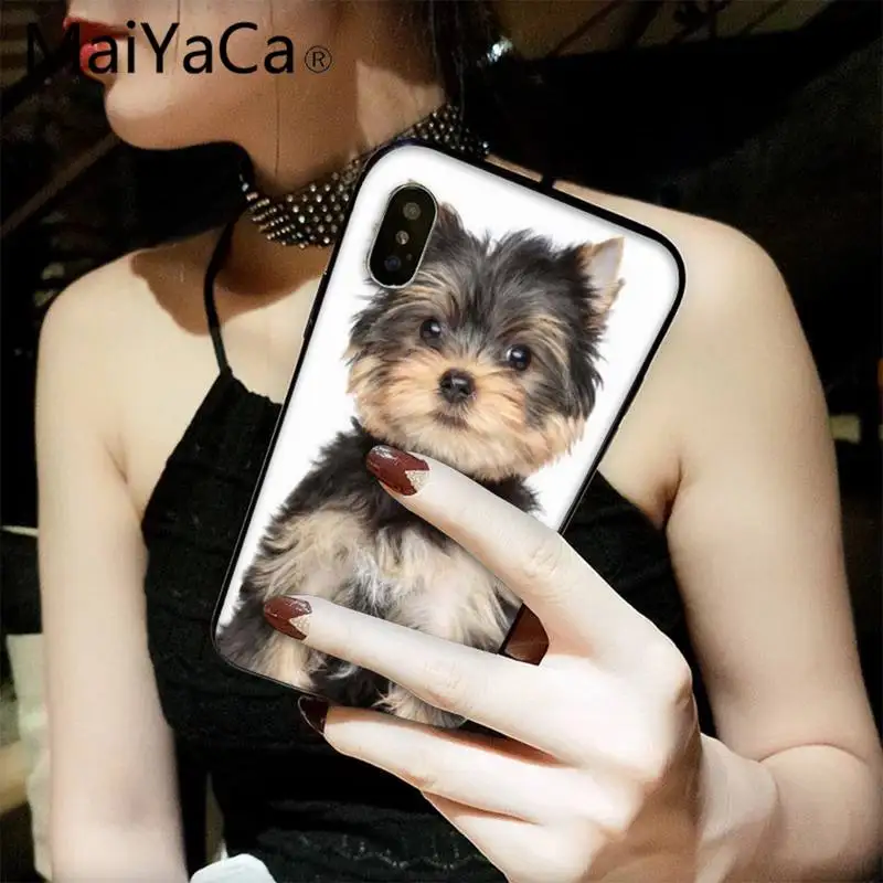 MaiYaCa Yorkshire terrier dog Phone Case fundas for iPhone 12 8 7 6 6S Plus X XS MAX 5 5S SE XR 11 12 pro promax shell
MaiYaCa Yorkshire terrier dog Phone Case fundas for iPhone 12 8 7 6 6S Plus X XS MAX 5 5S SE XR 11 12 pro promax shell