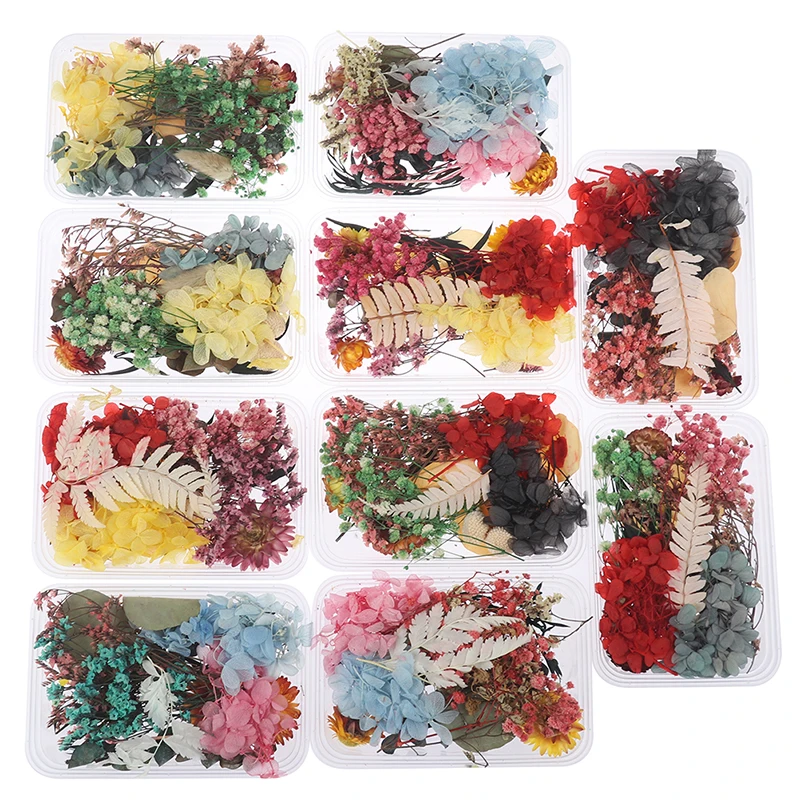 Mix Beautiful Real Dried Flowers Natural Floral for Art Craft Scrapbooking Resin Jewelry Craft Making Epoxy Mold
Mix Beautiful Real Dried Flowers Natural Floral for Art Craft Scrapbooking Resin Jewelry Craft Making Epoxy Mold