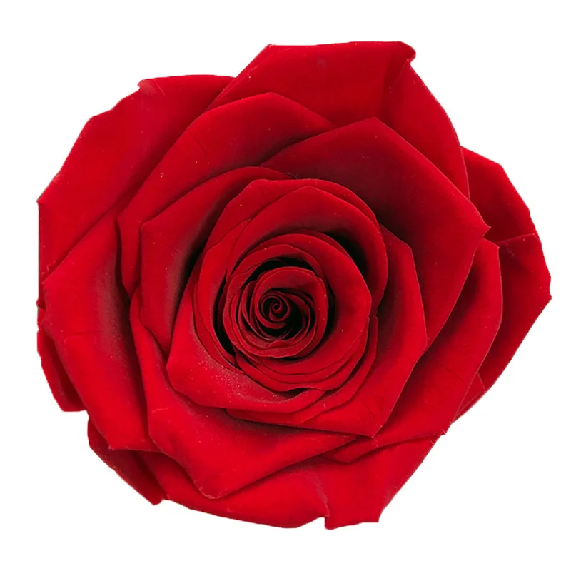Rose Gift Box A Grade Dried Preserved Flowers Eternal Life Artificial Flower For Lover Valentine'sDay DIY Wedding Supplies
Rose Gift Box A Grade Dried Preserved Flowers Eternal Life Artificial Flower For Lover Valentine'sDay DIY Wedding Supplies