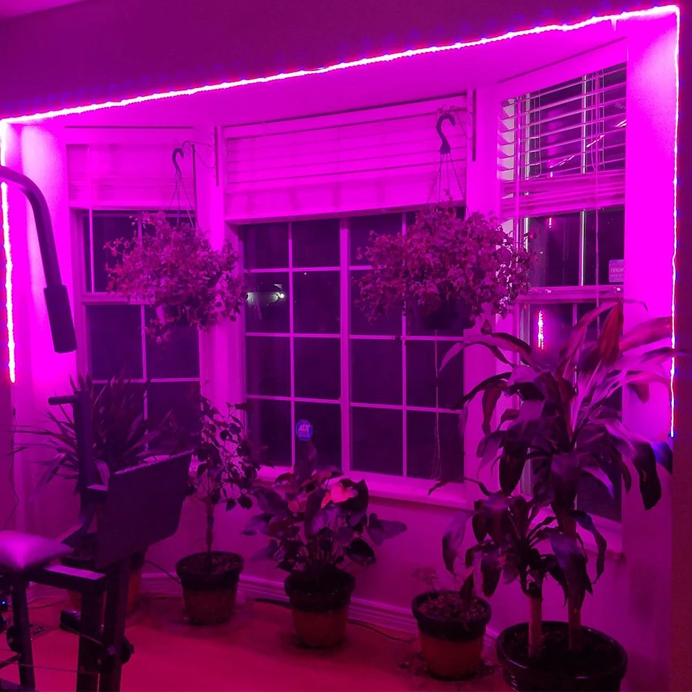 5M DIY LED Grow Light Strip Indoor Waterproof Wide Spectrum UV Lamps LED Flexible for Plants Phyto-Tape Greenhouse Grow Tent
5M DIY LED Grow Light Strip Indoor Waterproof Wide Spectrum UV Lamps LED Flexible for Plants Phyto-Tape Greenhouse Grow Tent