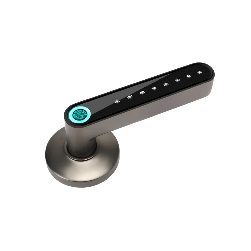 Smart Remote Control Bluetooth-compatible Fingerprint Password Code Biometrics Lock with Mechanical Key For Wooden Metal Door |