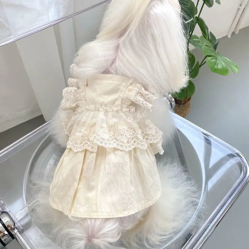 Светильник Кая кружевная юбка для собак из овсяной муки корейское платье Бишон для мальтского тела Одежда для домашних животных Одежда для ...
Светильник Кая кружевная юбка для собак из овсяной муки корейское платье Бишон для мальтского тела Одежда для домашних животных Одежда для ...