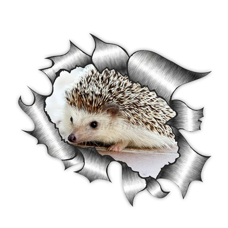 Creative Ripped Metal Design with Cute Hedgehog Car Sticker Accessories Motorcycle Waterproof Car Window Decal PVC
Creative Ripped Metal Design with Cute Hedgehog Car Sticker Accessories Motorcycle Waterproof Car Window Decal PVC