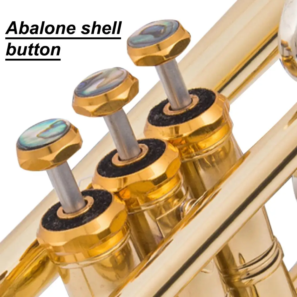 Trumpet Valve Finger Buttons Trumpet Inlays Colorful Abalone Shell Trumpet Parts Accessories
Trumpet Valve Finger Buttons Trumpet Inlays Colorful Abalone Shell Trumpet Parts Accessories