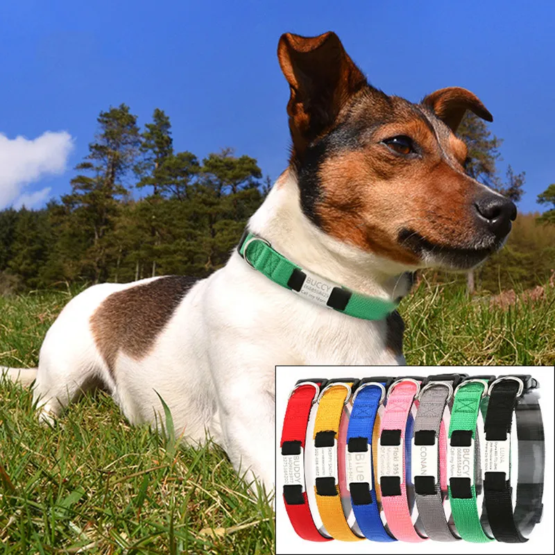 Dog Collars Dog Collar Personalized with Plastic Buckle Dogs Id Tag Collars Personalised Dogs Collar Designer Id Pet Accessoires
Dog Collars Dog Collar Personalized with Plastic Buckle Dogs Id Tag Collars Personalised Dogs Collar Designer Id Pet Accessoires