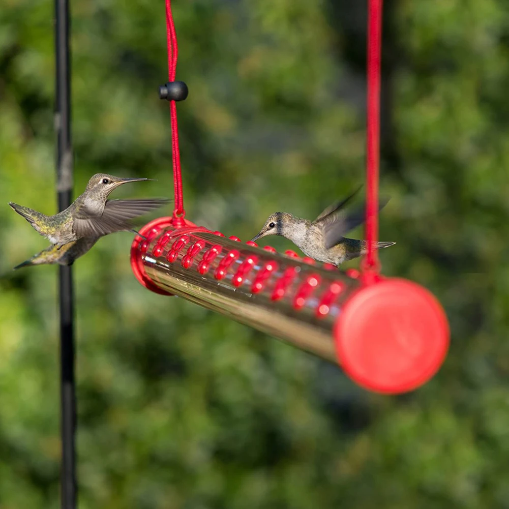 Hummingbird Feeder Bird Transparent Feeding Tube for Outdoors Patio Garden Outdoor Accessories
Hummingbird Feeder Bird Transparent Feeding Tube for Outdoors Patio Garden Outdoor Accessories