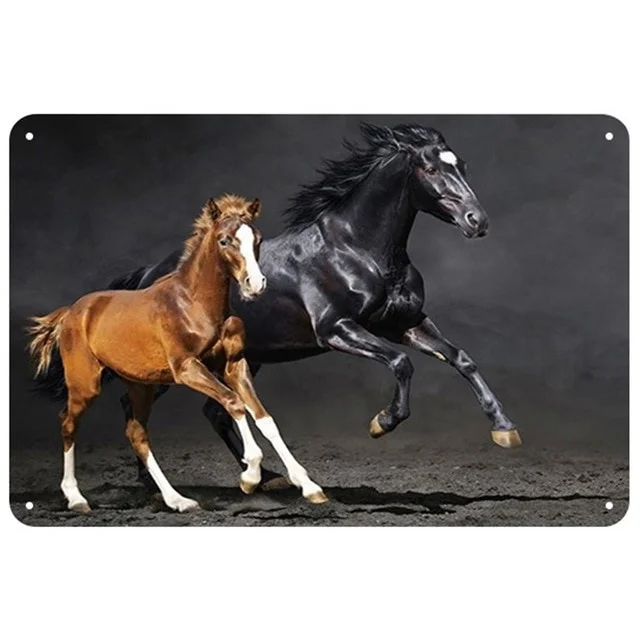 Horse Plaque Metal Vintage Tin Sign Pin Up Shabby Chic Decor Metal Signs Vintage Bar Decoration Metal Poster Pub Metal Plate
Horse Plaque Metal Vintage Tin Sign Pin Up Shabby Chic Decor Metal Signs Vintage Bar Decoration Metal Poster Pub Metal Plate