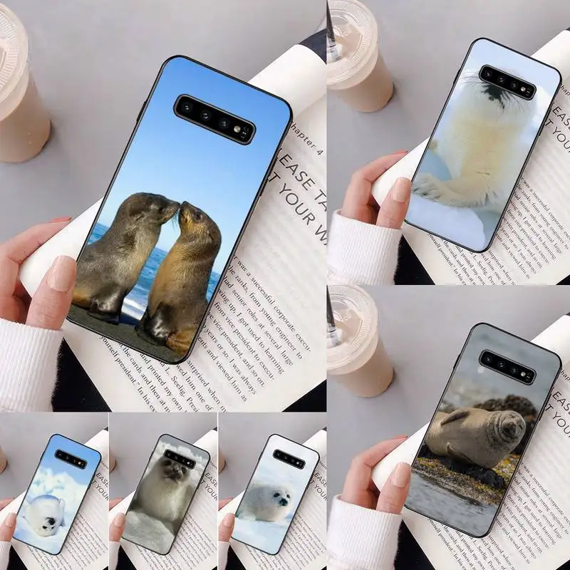 Baby Harp Seal Sea Lion Phone Case For Samsung Galaxy A50 A30 A71 A40 S10E A60 A50s A30s Note 8 9 S10 Plus S10 S20 S8
Baby Harp Seal Sea Lion Phone Case For Samsung Galaxy A50 A30 A71 A40 S10E A60 A50s A30s Note 8 9 S10 Plus S10 S20 S8