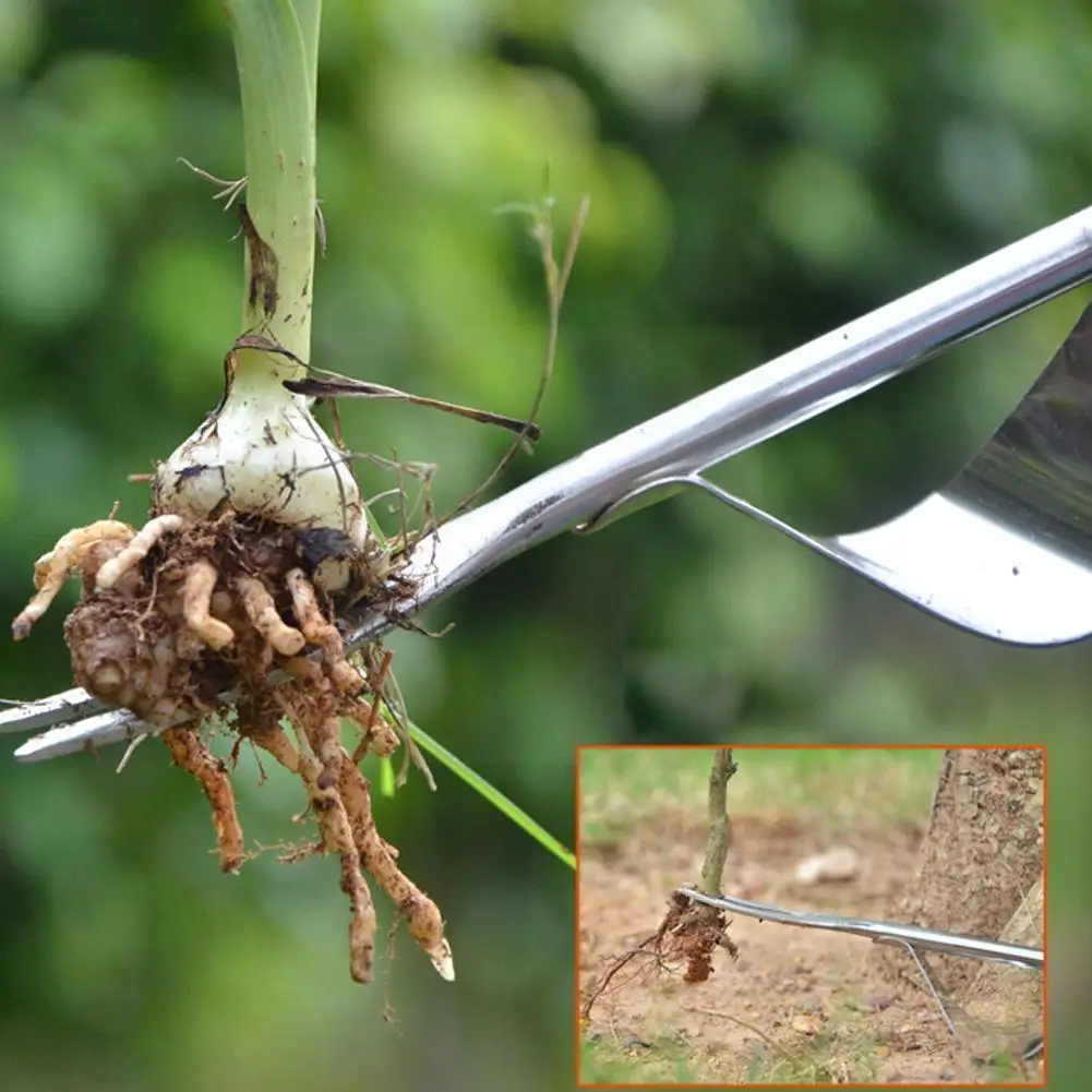 Multifunctional Steel Weeder Manual Root Ripper Farmland Tool Garden Remover F3Q0 Tool Weeding Transplant Seedling J0W4
Multifunctional Steel Weeder Manual Root Ripper Farmland Tool Garden Remover F3Q0 Tool Weeding Transplant Seedling J0W4