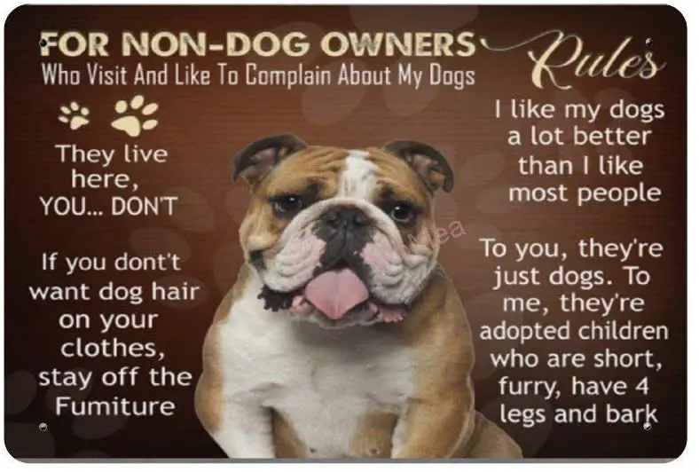 Bit SIGNSHM for Non Dog Owners Retro Metal Tin Sign Plaque Poster Wall Decor Art Shabby Chic Gift Suitable 12x8 Inch
Bit SIGNSHM for Non Dog Owners Retro Metal Tin Sign Plaque Poster Wall Decor Art Shabby Chic Gift Suitable 12x8 Inch