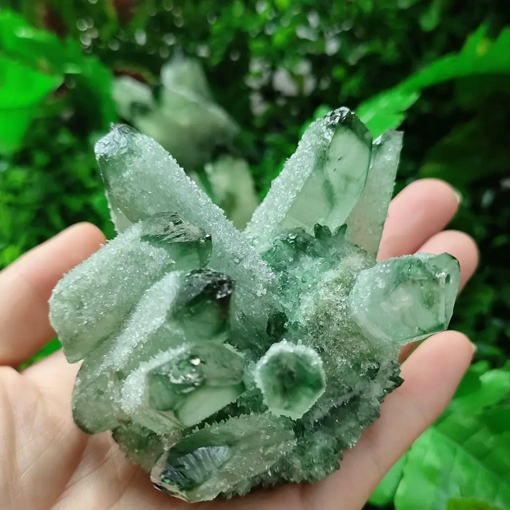 Hot Pretty Green PHANTOM Crystal Cluster Rough Splicing Mineral Specimen For Home Decoration
Hot Pretty Green PHANTOM Crystal Cluster Rough Splicing Mineral Specimen For Home Decoration