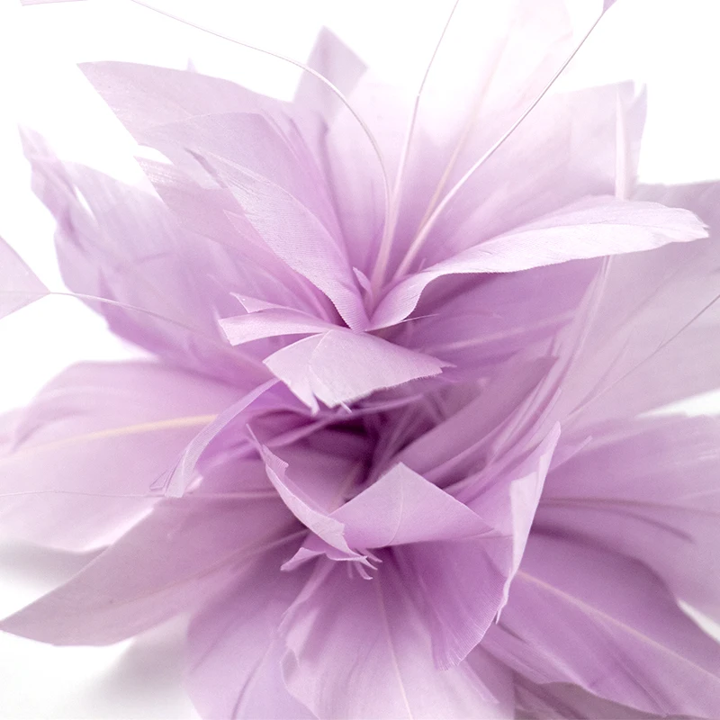 Wholesale elegance Natural Goose Feathers DIY Wedding Corsage Hat Decoration Carnival Accessories Dyed Fluffy Plumes For Crafts
Wholesale elegance Natural Goose Feathers DIY Wedding Corsage Hat Decoration Carnival Accessories Dyed Fluffy Plumes For Crafts