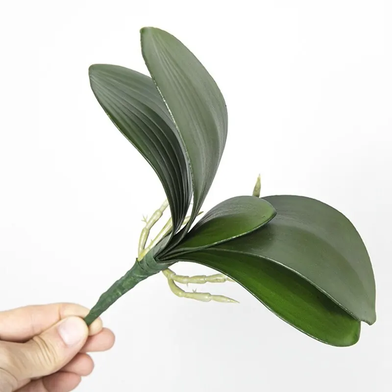 Phalaenopsis Leaf Artificial Plant Flowers Additional Material Flower Decoration Orchid Leaves Bride Wedding Cafe Decor Ornament
Phalaenopsis Leaf Artificial Plant Flowers Additional Material Flower Decoration Orchid Leaves Bride Wedding Cafe Decor Ornament