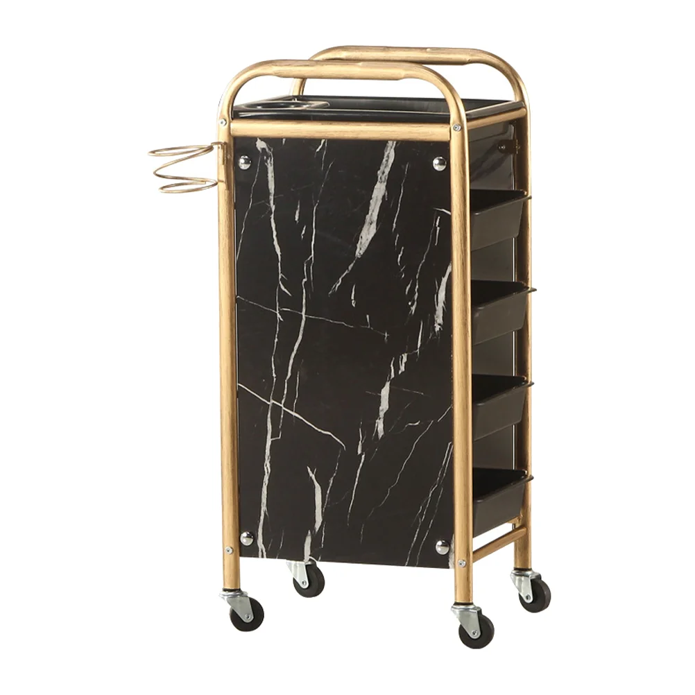 1Set Beauty Salon Storage Cart Movable Universal Wheel Storage Rack Storage Tool
1Set Beauty Salon Storage Cart Movable Universal Wheel Storage Rack Storage Tool