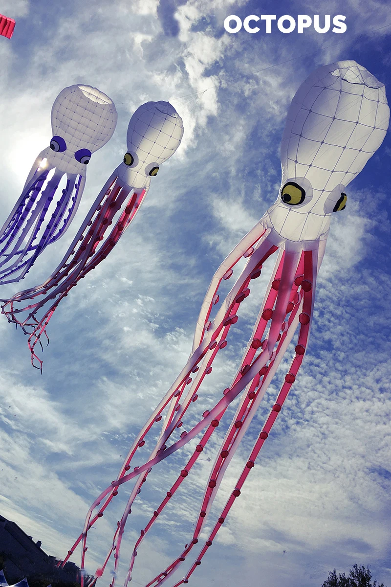 

Free shipping high-quality software octopus kite kite festival competition large-scale customized outdoor flying kite factory