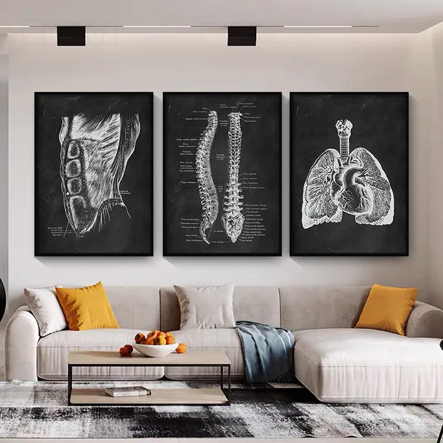 Canvas Painting for Living Room Human Organ Bone Skeleton Details Detailed Description Clinic Classroom Teaching Decor Picture
Canvas Painting for Living Room Human Organ Bone Skeleton Details Detailed Description Clinic Classroom Teaching Decor Picture