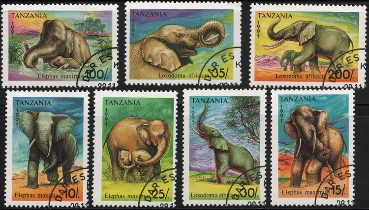 7Pcs/Set Tanzania Post Stamps 1991 Elephant Used Post Marked Postage Stamps for Collecting
7Pcs/Set Tanzania Post Stamps 1991 Elephant Used Post Marked Postage Stamps for Collecting