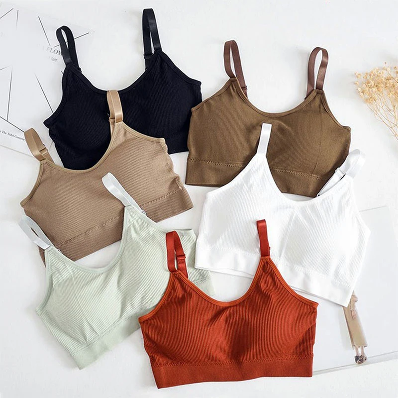 Fashion New Bottoming Shirt Outer Jacket Underwear Breathable Vest Crop Jacket Underwear Jacket Sexy Seamless Bra
Fashion New Bottoming Shirt Outer Jacket Underwear Breathable Vest Crop Jacket Underwear Jacket Sexy Seamless Bra