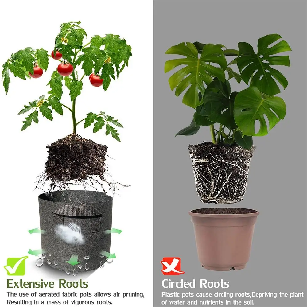 Nonwoven Storage Container Planting Belt Practical Creative Plant Bag Plant Grow Bag Spring Sweet Potato Tomato Planting Bag
Nonwoven Storage Container Planting Belt Practical Creative Plant Bag Plant Grow Bag Spring Sweet Potato Tomato Planting Bag