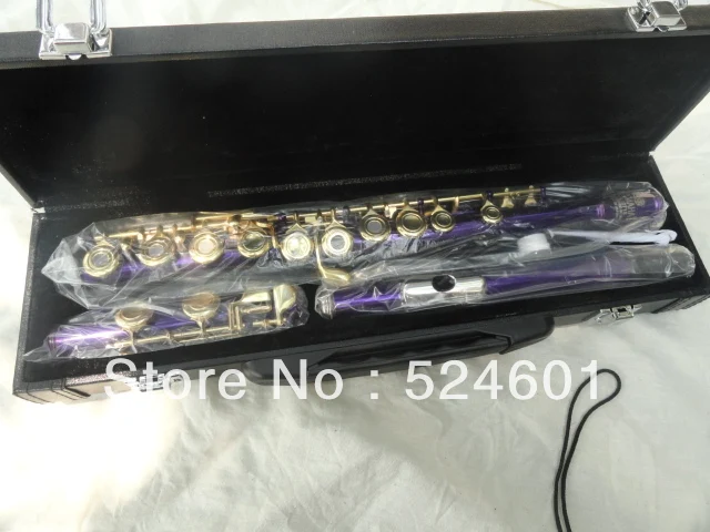 Hot Professional Student Purple Silvering Grant 16 Hole C Metal Flute Plus the E Key Obturator Flauta Musical Instruments 271S
Hot Professional Student Purple Silvering Grant 16 Hole C Metal Flute Plus the E Key Obturator Flauta Musical Instruments 271S