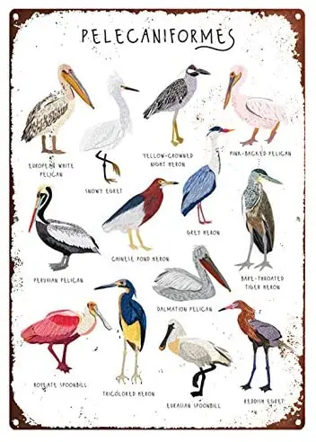 Оловянные ретро-знаки, Настенный декор, металлический знак Pelican, типы Pelicans, pelicaniобразная, Heron Print, Spoonbill Print, Bird Gift, типы
Оловянные ретро-знаки, Настенный декор, металлический знак Pelican, типы Pelicans, pelicaniобразная, Heron Print, Spoonbill Print, Bird Gift, типы