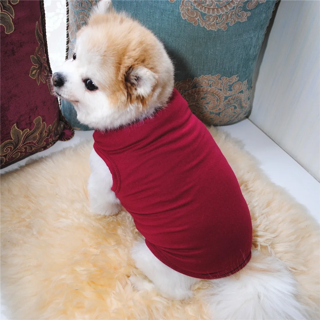 Solid Color Pet Dog Vest Teddy Dogs Clothes Spring Summer Autumn T-shirts Small Medium Puppy Cat Pets Clothing Supplies Jackets
Solid Color Pet Dog Vest Teddy Dogs Clothes Spring Summer Autumn T-shirts Small Medium Puppy Cat Pets Clothing Supplies Jackets