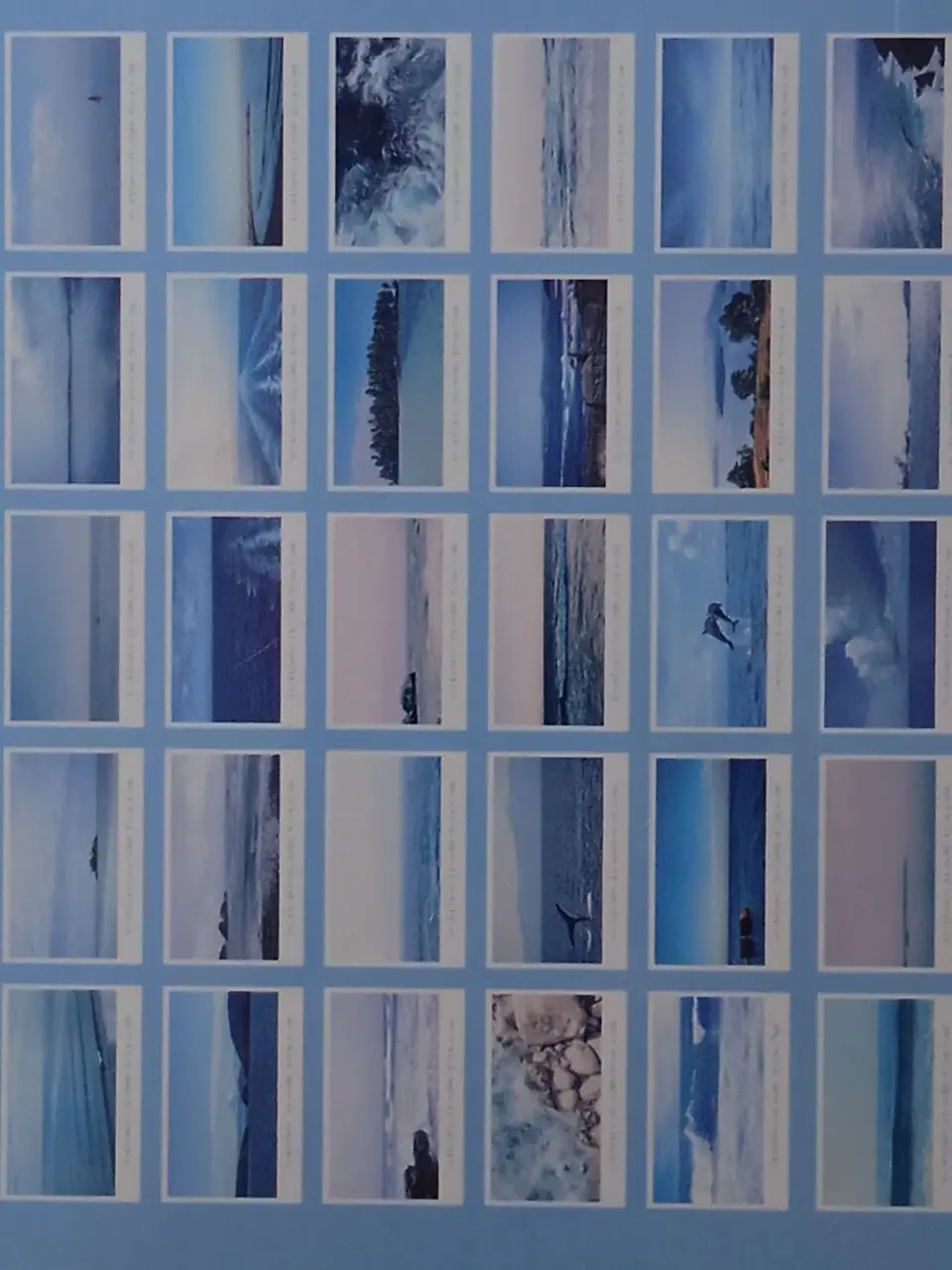 143mmx93mm happy sea paper postcard(1pack=30pieces)
143mmx93mm happy sea paper postcard(1pack=30pieces)