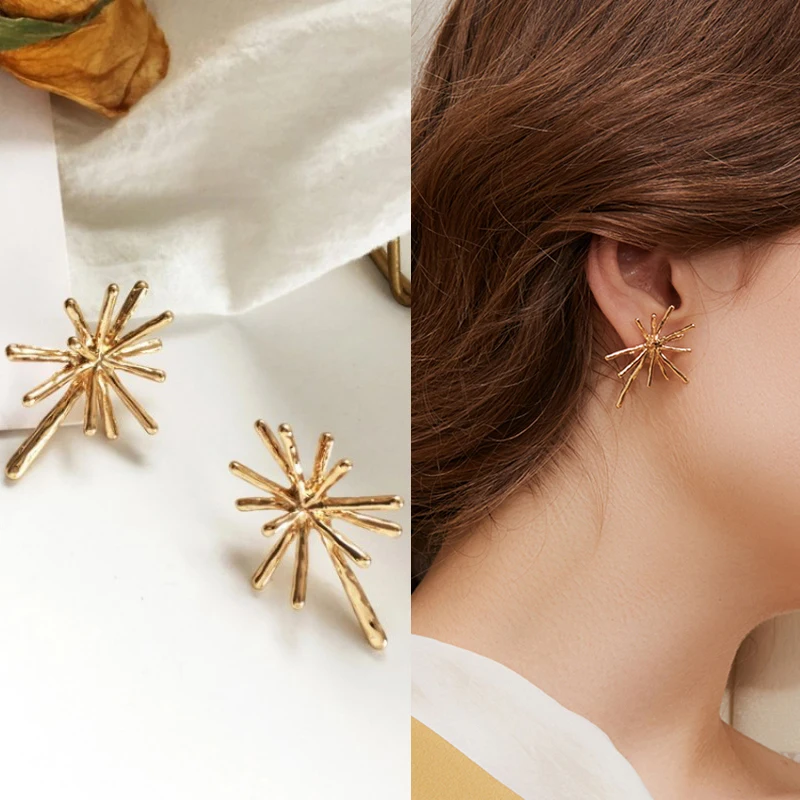 2021 Trend Fireworks Stud Earrings For Women Girls Classic Elegant Style Statement Earrings Wedding Party Fashion Jewelry Gifts 
2021 Trend Fireworks Stud Earrings For Women Girls Classic Elegant Style Statement Earrings Wedding Party Fashion Jewelry Gifts