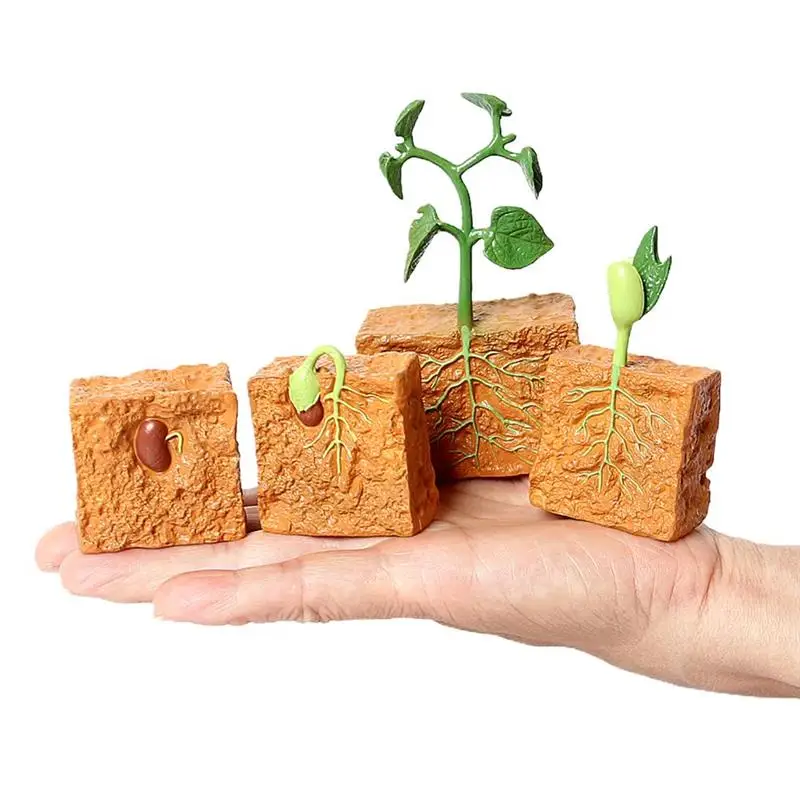 4pcs Green Bean Plant Growth Cycle Model biology games toys Plant Life Cycle Educational Evolution toys for boys children Gifts
4pcs Green Bean Plant Growth Cycle Model biology games toys Plant Life Cycle Educational Evolution toys for boys children Gifts