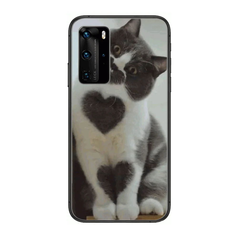 Animal Cute Phone Case For Huawei P 40 30 20 10 Lite Smart Z Pro Black Etui Coque Painting Hoesjes comic fashion
Animal Cute Phone Case For Huawei P 40 30 20 10 Lite Smart Z Pro Black Etui Coque Painting Hoesjes comic fashion