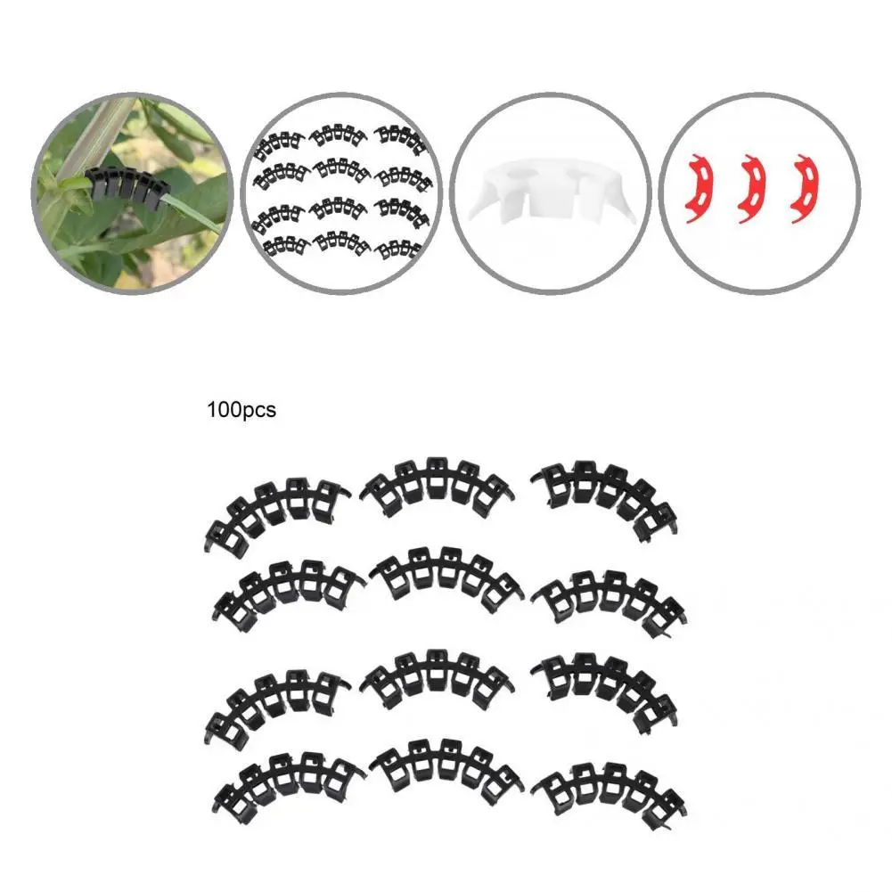 Антидеформа 100 шт./компл. уникальный зажим для поддержки стебля с низким уровнем стресса пластиковый зажим для поддержки растений стабильны...
Антидеформа 100 шт./компл. уникальный зажим для поддержки стебля с низким уровнем стресса пластиковый зажим для поддержки растений стабильны...