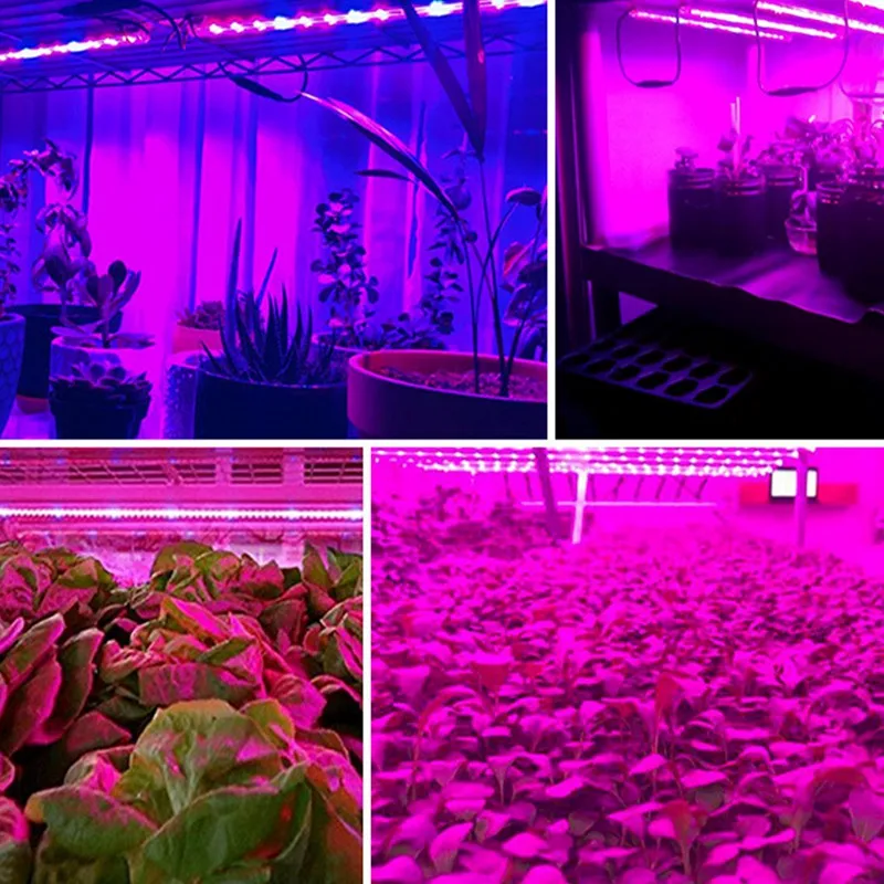 LED Grow Light Full Spectrum USB Grow Light Strip 0.5m 1m 2m 3m 2835 SMD DC5V LED Phyto Tape for Seed Plants Flowers Greenhouses
LED Grow Light Full Spectrum USB Grow Light Strip 0.5m 1m 2m 3m 2835 SMD DC5V LED Phyto Tape for Seed Plants Flowers Greenhouses