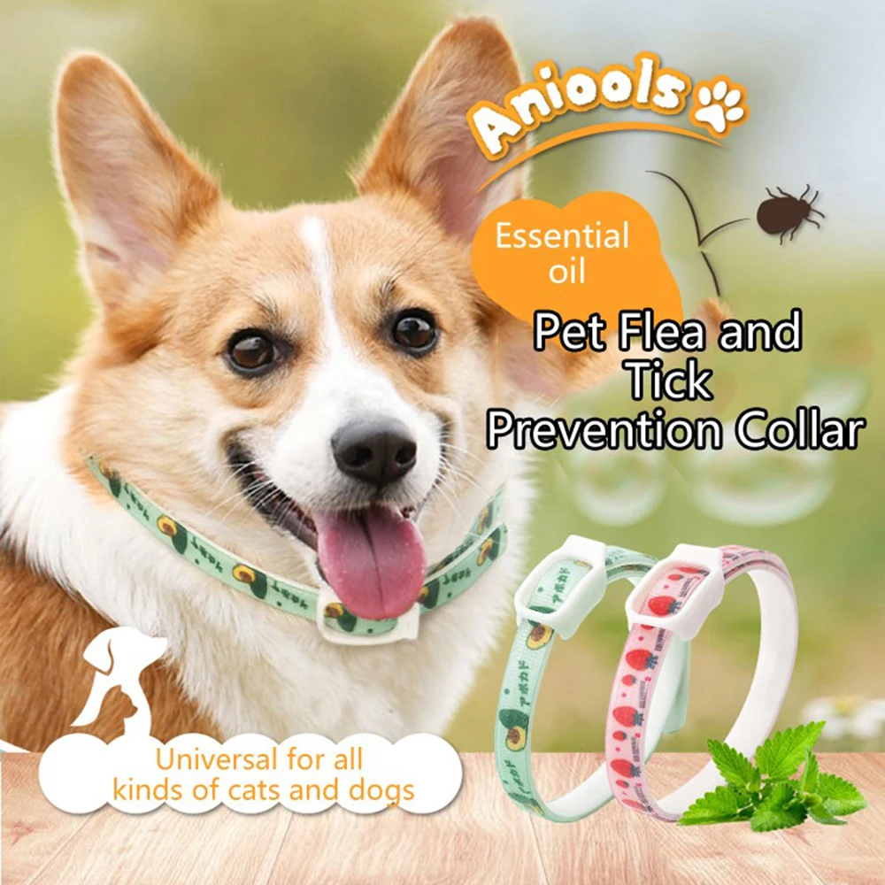 Nylon Custom Dog Collar Adjustable Free Engraved Name ID Tag Personalized Dog Collar Small Large Product Plaid Unisex Dog Collar
Nylon Custom Dog Collar Adjustable Free Engraved Name ID Tag Personalized Dog Collar Small Large Product Plaid Unisex Dog Collar
