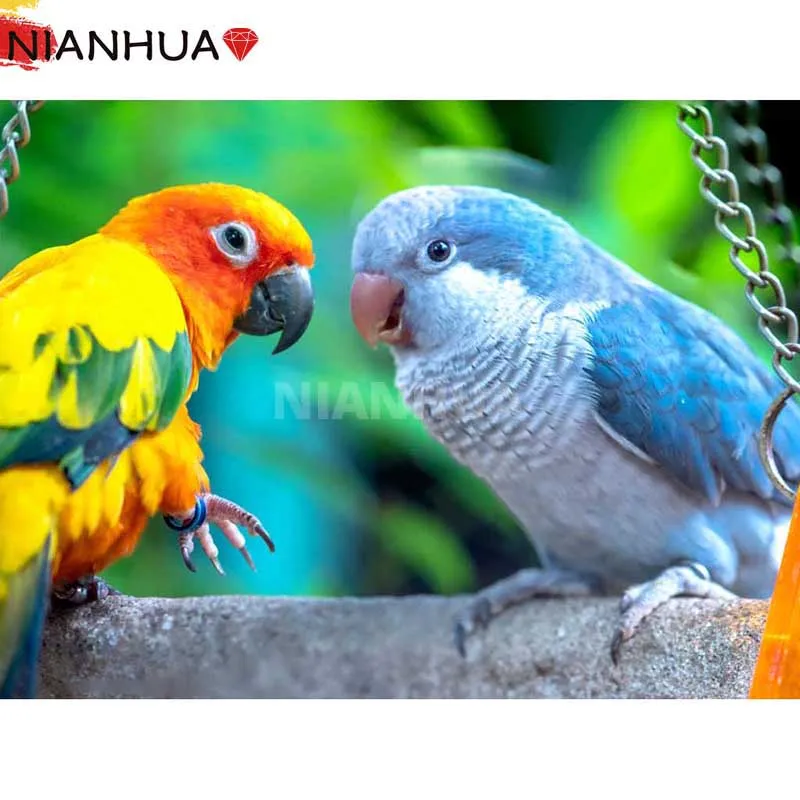 Diamond Painting 5D DIY Animal Parrot Colorful Square Round Embroidery Hand Mosaic Kit Photo Mural Decoration 
Diamond Painting 5D DIY Animal Parrot Colorful Square Round Embroidery Hand Mosaic Kit Photo Mural Decoration