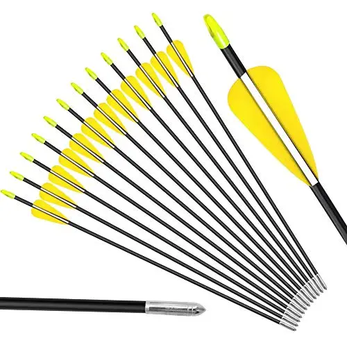 6Pcs 30 inch Fiberglass Arrow Spine 700 for Recurve Bow Practice Archery Hunting
6Pcs 30 inch Fiberglass Arrow Spine 700 for Recurve Bow Practice Archery Hunting