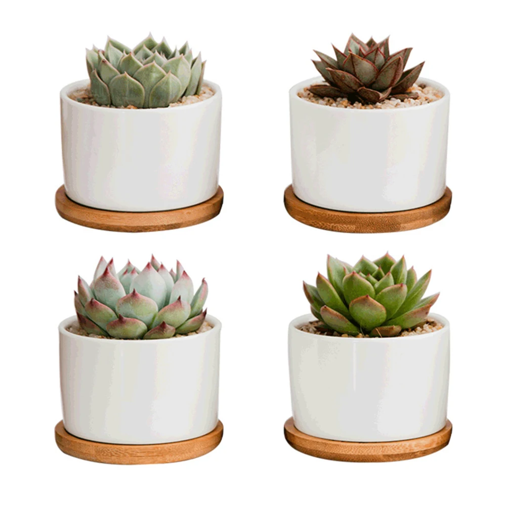 Ceramic Flower Planter Succulent Basin With Bamboo Tray 4packs Morden Pattern Home Garden Decor For Cactus White Flowers Pot
Ceramic Flower Planter Succulent Basin With Bamboo Tray 4packs Morden Pattern Home Garden Decor For Cactus White Flowers Pot
